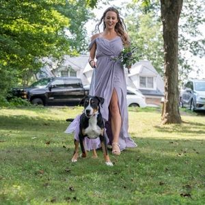 BHLDN Dusty Purple Bridesmaid Dress